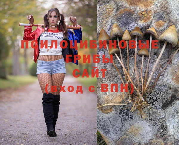 mdpv Усинск