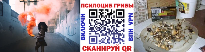 Галлюциногенные грибы Psilocybine cubensis  Камешково 
